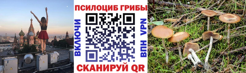 Галлюциногенные грибы GOLDEN TEACHER  ОМГ ОМГ рабочий сайт  маркетплейс состав  хочу наркоту  Спасск-Рязанский 
